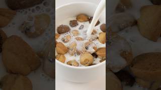 초코칩 쿠키 대량 생산