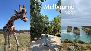 メルボルンVlog後編｜グレートオーシャンロード｜サファリパーク🦒🦓🍃