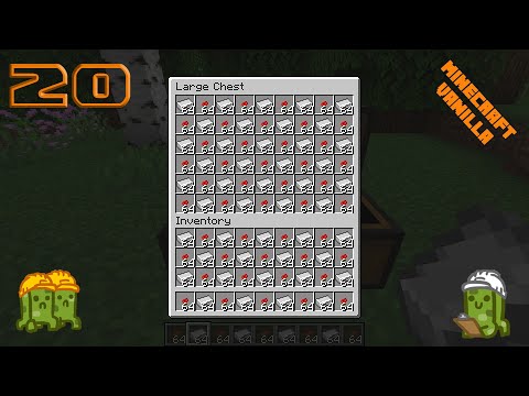 FARM DI FERRO SEMPLICE E COMPATTA 1.16 JAVA  - Minecraft ITA SURVIVAL #20