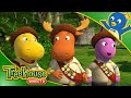 The Backyardigans Pablor And The Acorns Ep 76 HD Cartoons