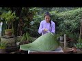 Making Gourd Containers with Self Grown Gourds