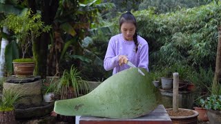 Making Gourd Containers with Self Grown Gourds