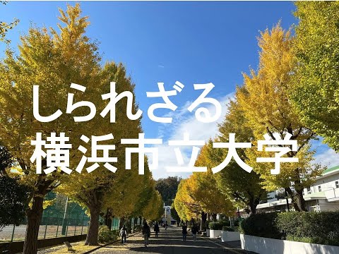 心理学科 しられざる横浜市立大学