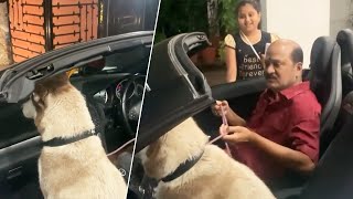 Actor Rajendra Prasad Making Fun With His Dog Maya | MS Entertainments video