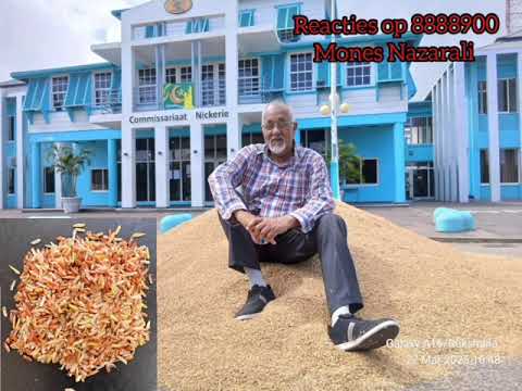 Description or Alt Text