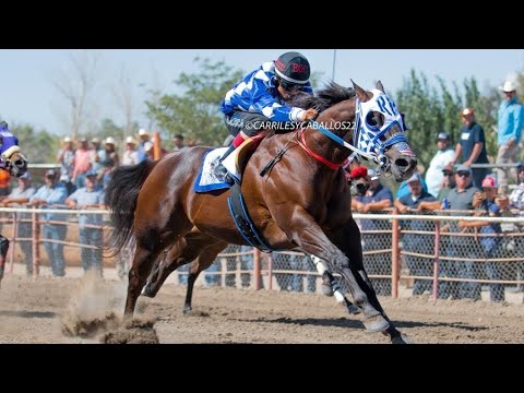 EL COMPADRITO — EL ALACRÁN VALENZUELA