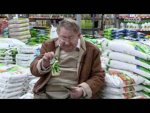 Ogród na miarę - 2019.02.02 - Wysiew, rodzaje nasion