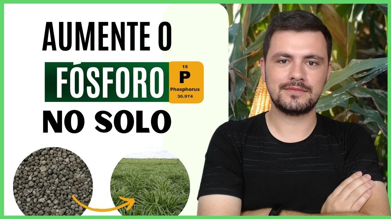 Principais problemas encontrados na aplicação de FERTILIZANTES FOSFATADOS no solo
