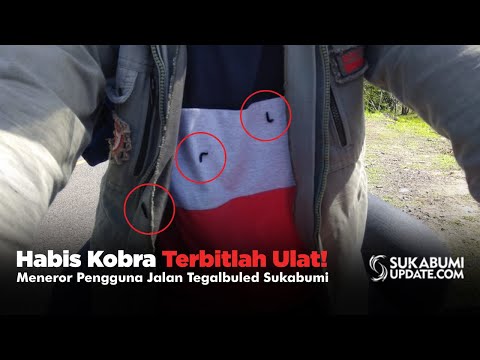 Habis Kobra Terbitlah Ulat! Meneror Pengguna Jalan Tegalbuled Sukabumi