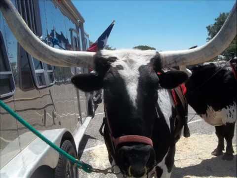 Battle Of San Jacinto Day 2012 176th Anniversary Texas Independence