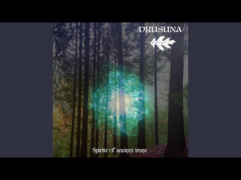 Spirits of Ancient Trees