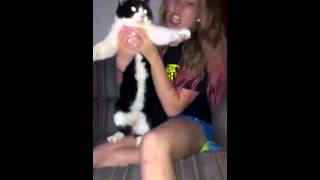 Dumb blonde gets attacked by cat #1.