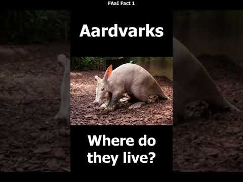 Aardvarks – where do they live?
