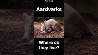 Aardvarks – where do they live?