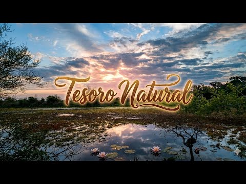 PARQUE NACIONAL y PROVINCIAL IBERÁ Colonia Carlos Pellegrini, Corrientes, Argentina.