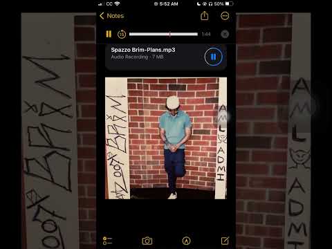 Spazzo Brim - Plans (unreleased)