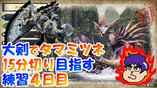 【MHRize】モンハンライズ発売までに大剣を極めたい【練習4日目】