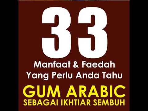 Manfaat Gum Arabic Al-Manna