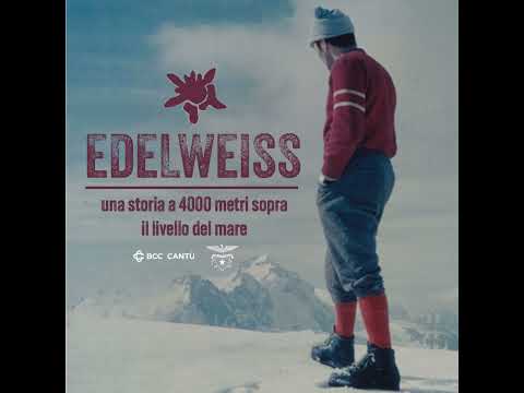 La scalata: i grandi 4000