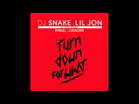DJ Snake Feat Lil Jon & Pitbull & Ludacris Turn Down For What (Remix)