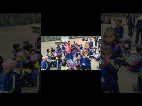 unnati kids school zoo visit ( school trip)