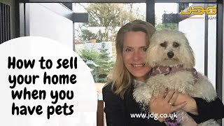 How to sell your home when you have pets