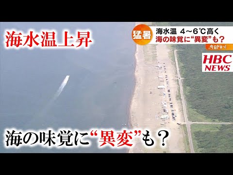 海水温の上昇により雨が多くなる