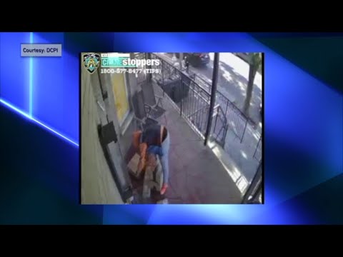 NYC Police Seeking Amazon Delivery Driver Stealing Packages