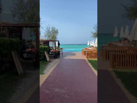 Infinity Pool at Nungwi Dreams in Zanzibar #Shorts
