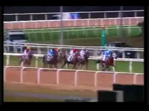 2009 Maktoum Challenge Race 1 - Kandar du Falgas