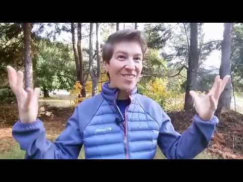 Wake Up! Say Thank You!  I Am Peace with Steph St. Amand