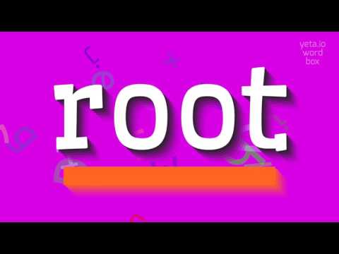 ROOT - How to pronounce it?