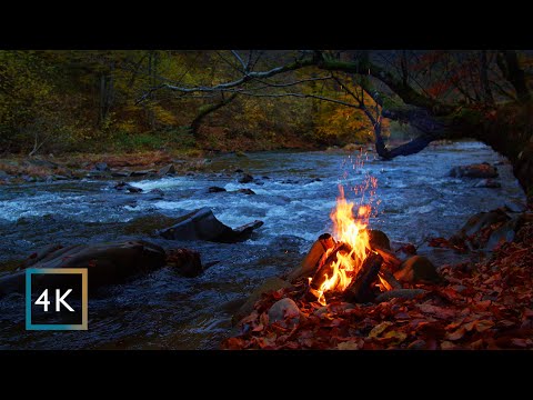 Autumn campfire by the river at night — relaxing nature sounds | 4K
