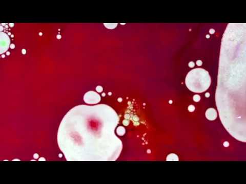 Arif & Unge Ferrari - mashup