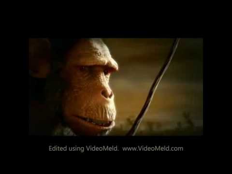 VENKATESH S Very sad ta...