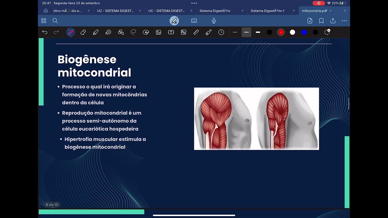 Aula de mitocôndria