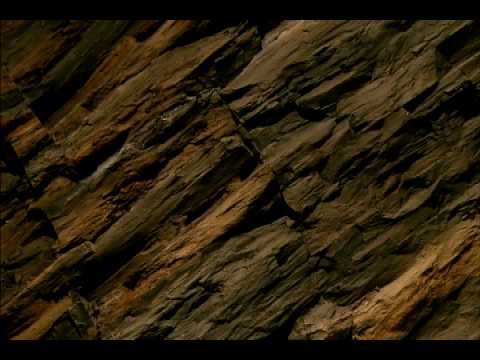 Wired Science - Health - Blood Simple