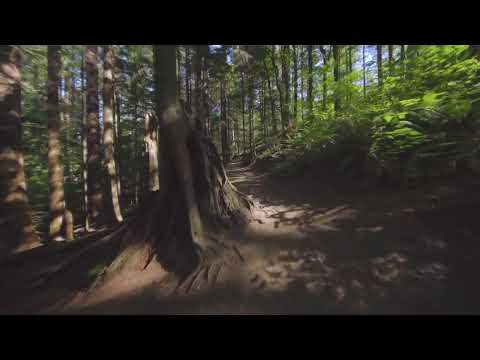 01. Rrëfime Profetike || Ademi (alejhi selam)