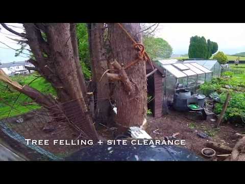CJM Tree Care video.