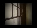 The Nadas - Bitter Love