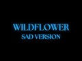 Billie Eilish WILDFLOWER Sad Version Lyrics 4K Requested