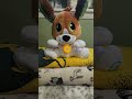 Leapfrog Speak And Learn Puppy The Smartest Little Puppy That Talks