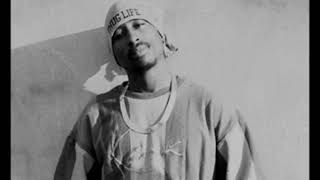 2Pac - Thug Style | 2022