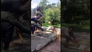 Download lagu 7.5 yard exposed aggregate pour #masonry #bricklaying #concrete #blocklaying #brickmasonry mp3