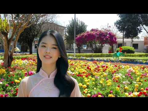 Um paraíso escondido no RS: Conheça Chapada!