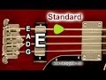 Bass Guitar Tuner - E Standard Tuning (E A D G) 4 Strings