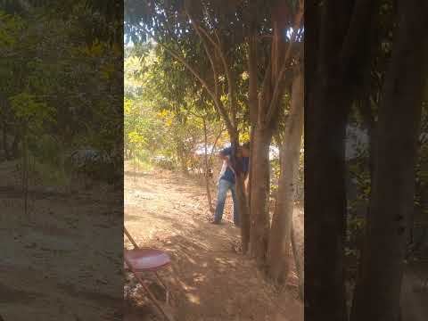 Pré assentamento vida nova início em 2016 Niquelândia GO 