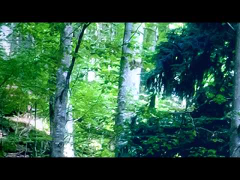 Feini - Ihr Wollt Wir Wolln ft. Exzess One