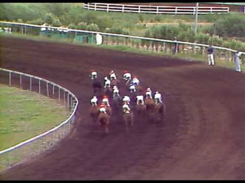 Svenskt Derby 1987