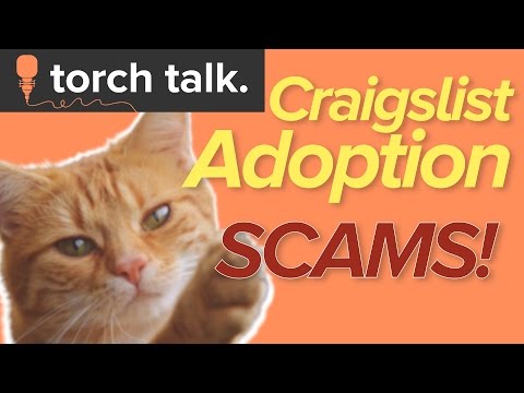 Craigslist Adoption Scams